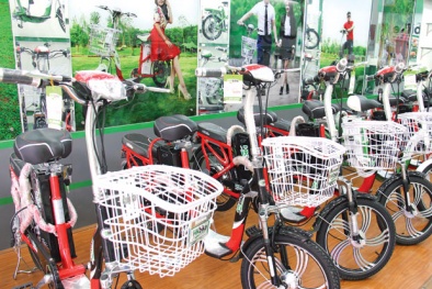 Xe đạp điện: Chọn pin hay ắcquy?